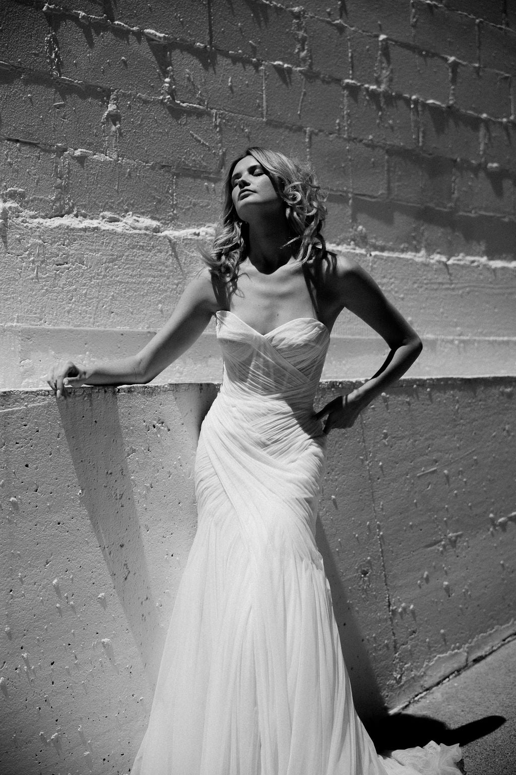 Vienna gown