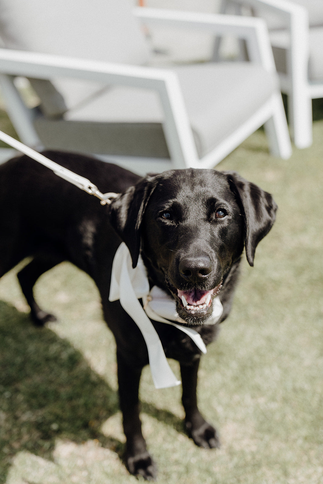 Emily and Adam — Hera Couture real bride